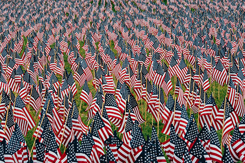 Small flags covering the ground.